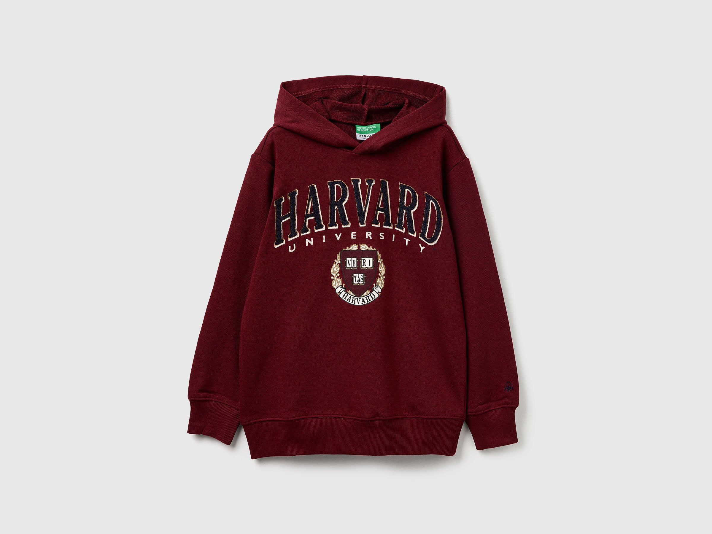 Sweat com capuz ©Harvard University - ucb_image_FS