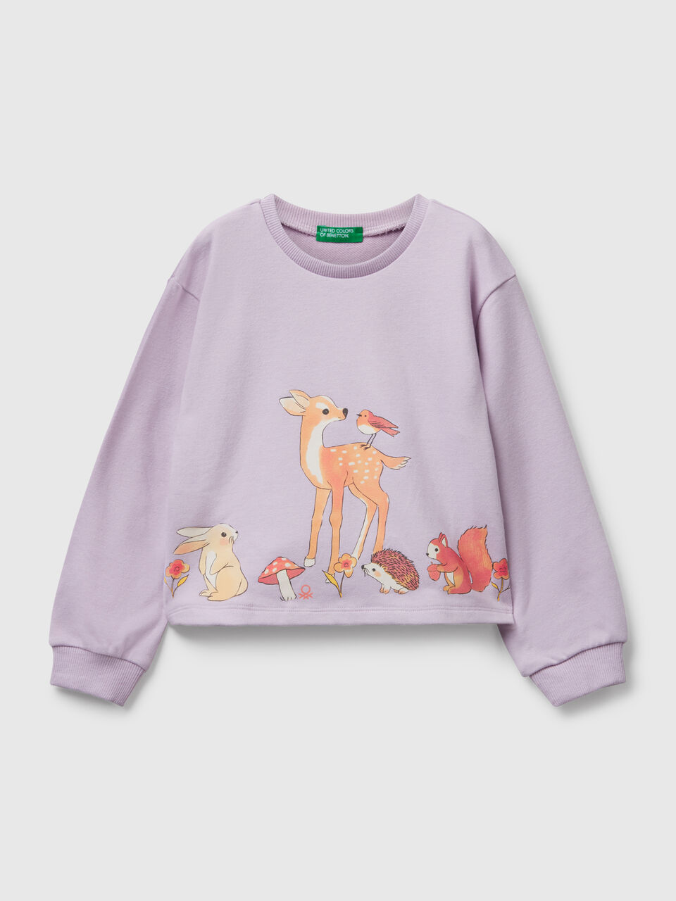 SWEATER L/S Junior Girl image number null