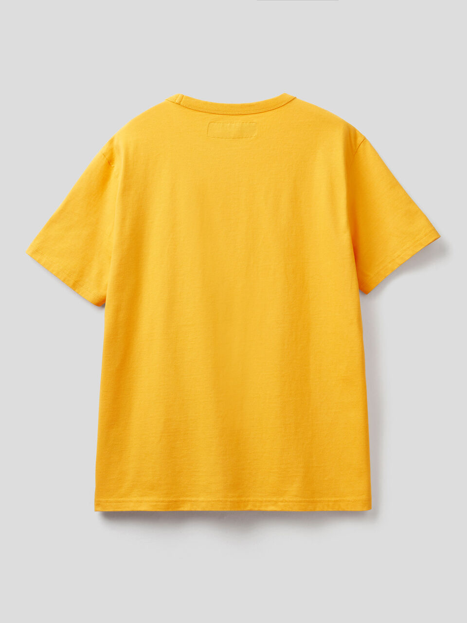 Crew neck t-shirt in pure cotton image number 2