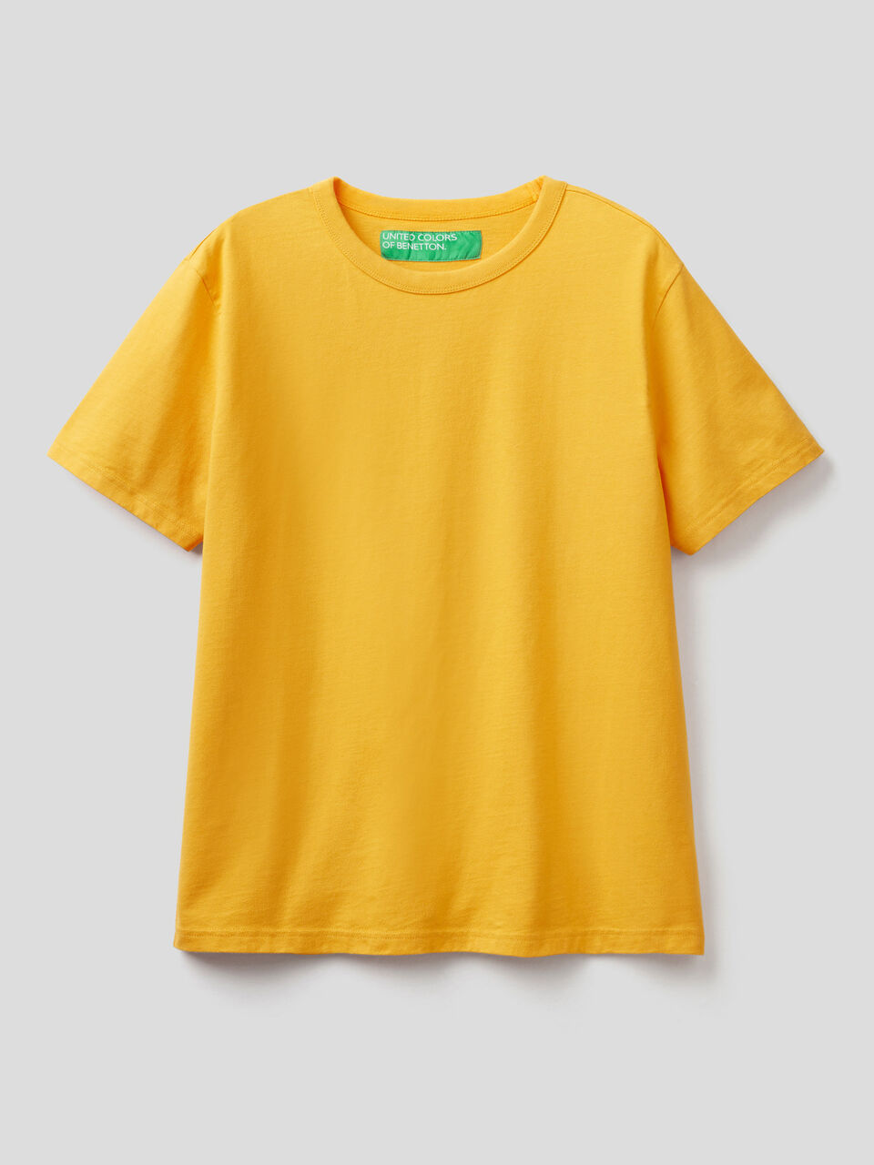 Crew neck t-shirt in pure cotton image number 1